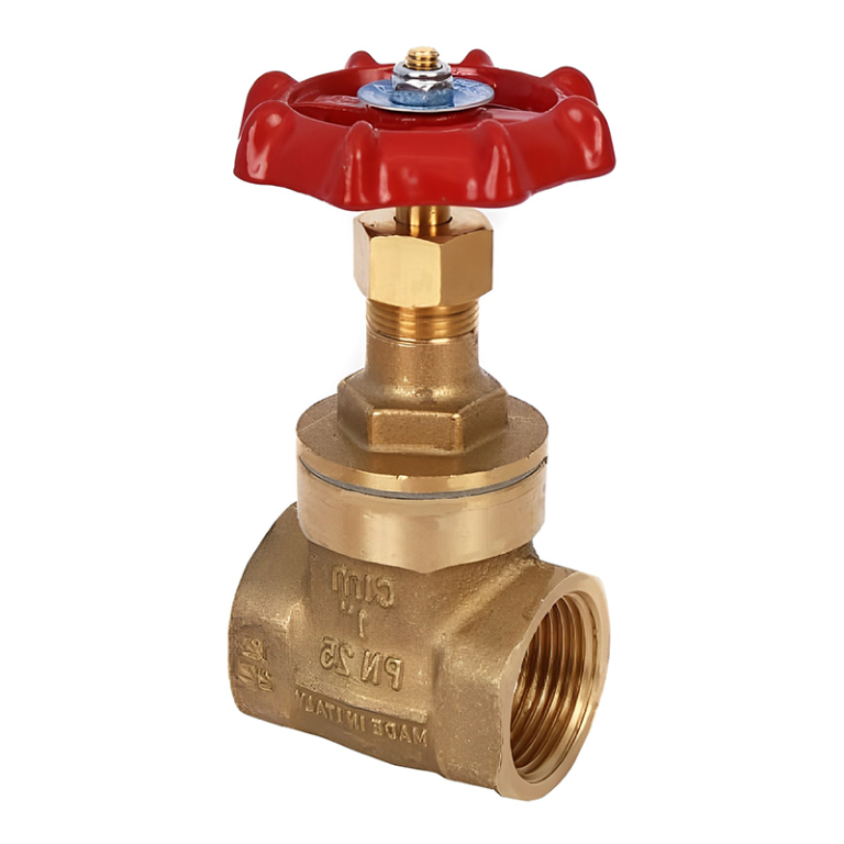 Brass General Purpose BSP Threaded Gate Valve - 2"