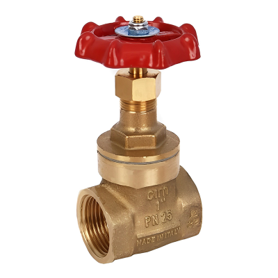 Brass General Purpose BSP Threaded Gate Valve Left